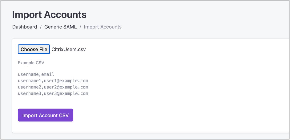 Importing the CSV generated by the Citrix Exporter